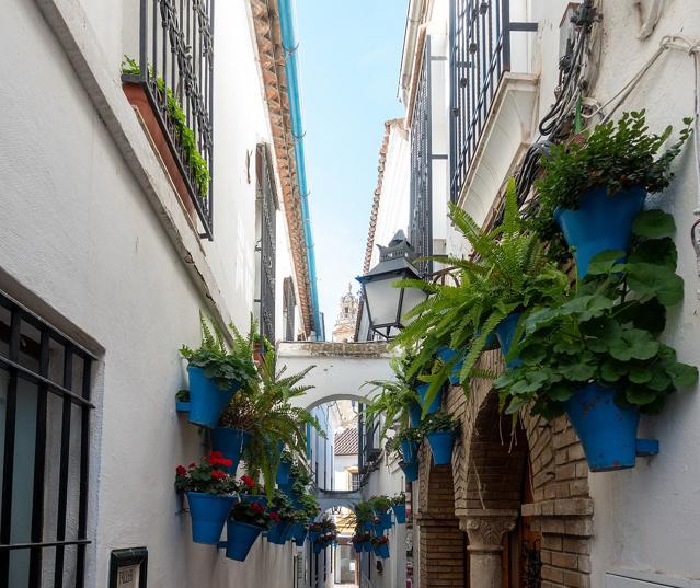 Calleja de las Flores